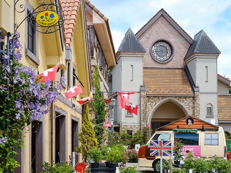 �n�C�W�̑�