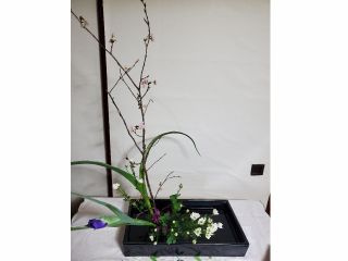 生け花の基本型を生けてみましょう!