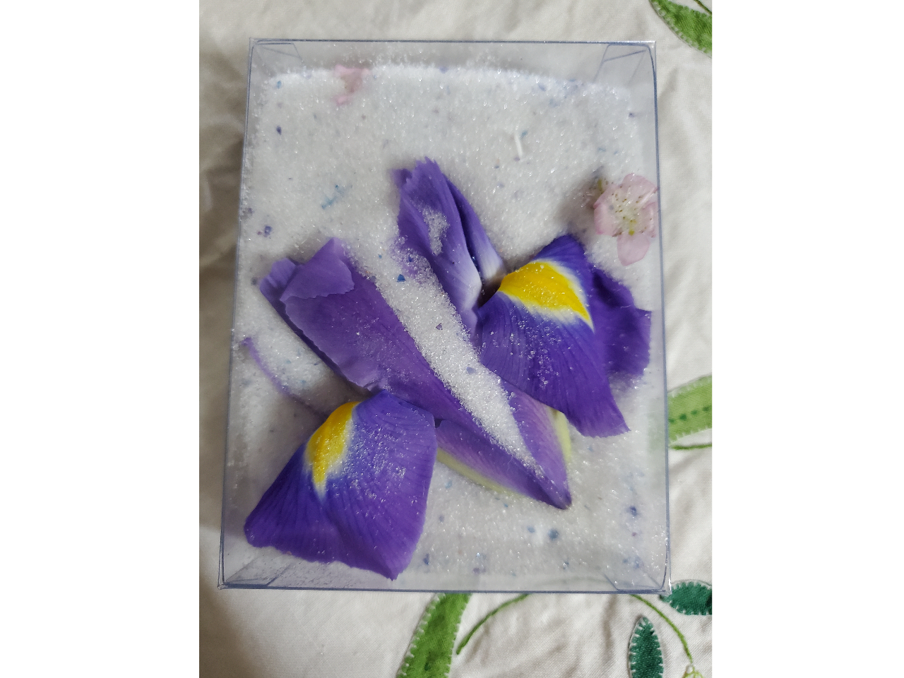 ����]�ɂ��I�v�V����+��500.-�Ńh���C�t�����[�L�b�g�ł�����A�肢�������܂��B�L�O�ɂȂ�܂��B