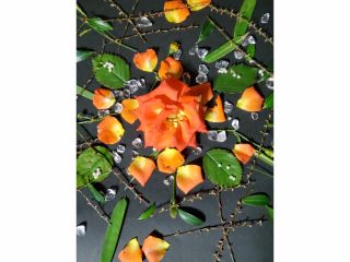 イメージ写真です。