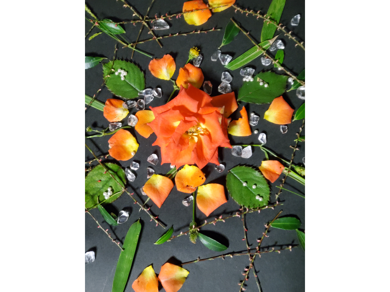 �C���[�W�ʐ^�ł��B