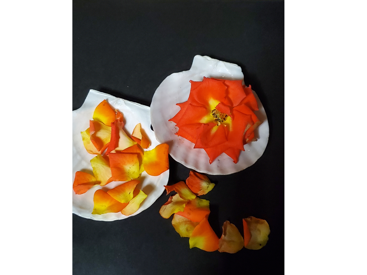 �������A�肢����������͍��Ȃǂ��y����ł��������B�C���[�W�ʐ^�ł��B