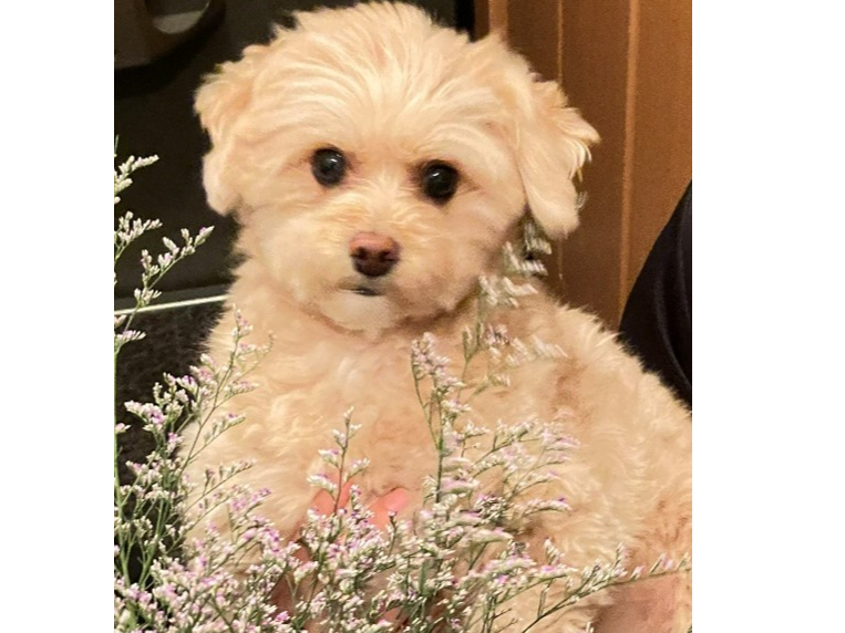 Ŕ}o}܂Iuɂ́IyłĂˁv