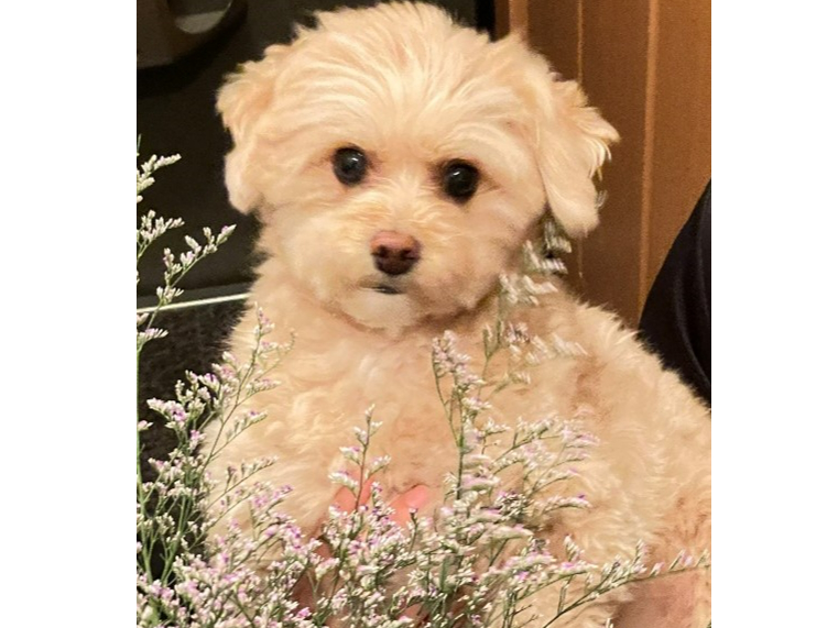 �Ŕ��}�������o�}�����܂���