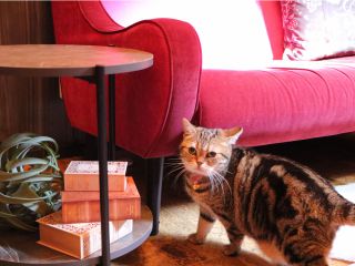 絵本のお部屋(トーティのお部屋)