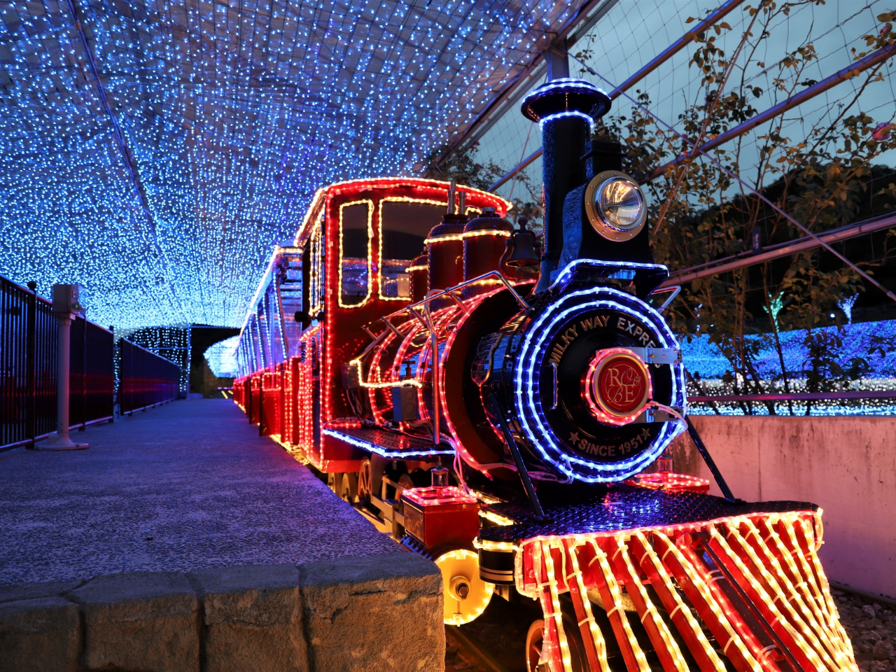 ���[�U���S���~���L�[�E�F�C �܂΂䂢�C���~�l�[�V�����𒭂߂Ȃ����̓S���̗������y���݂��������B ����Ԍ��� ���Ƃ� 1,000�~�E���ǂ� 500�~ ���ō���