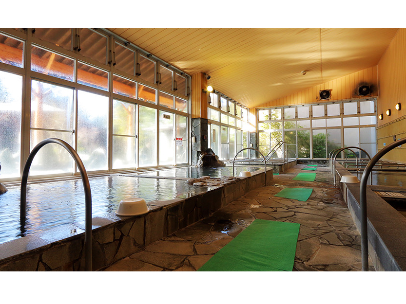 xقȂ3̃TEi܂15̂Cy߂܂I