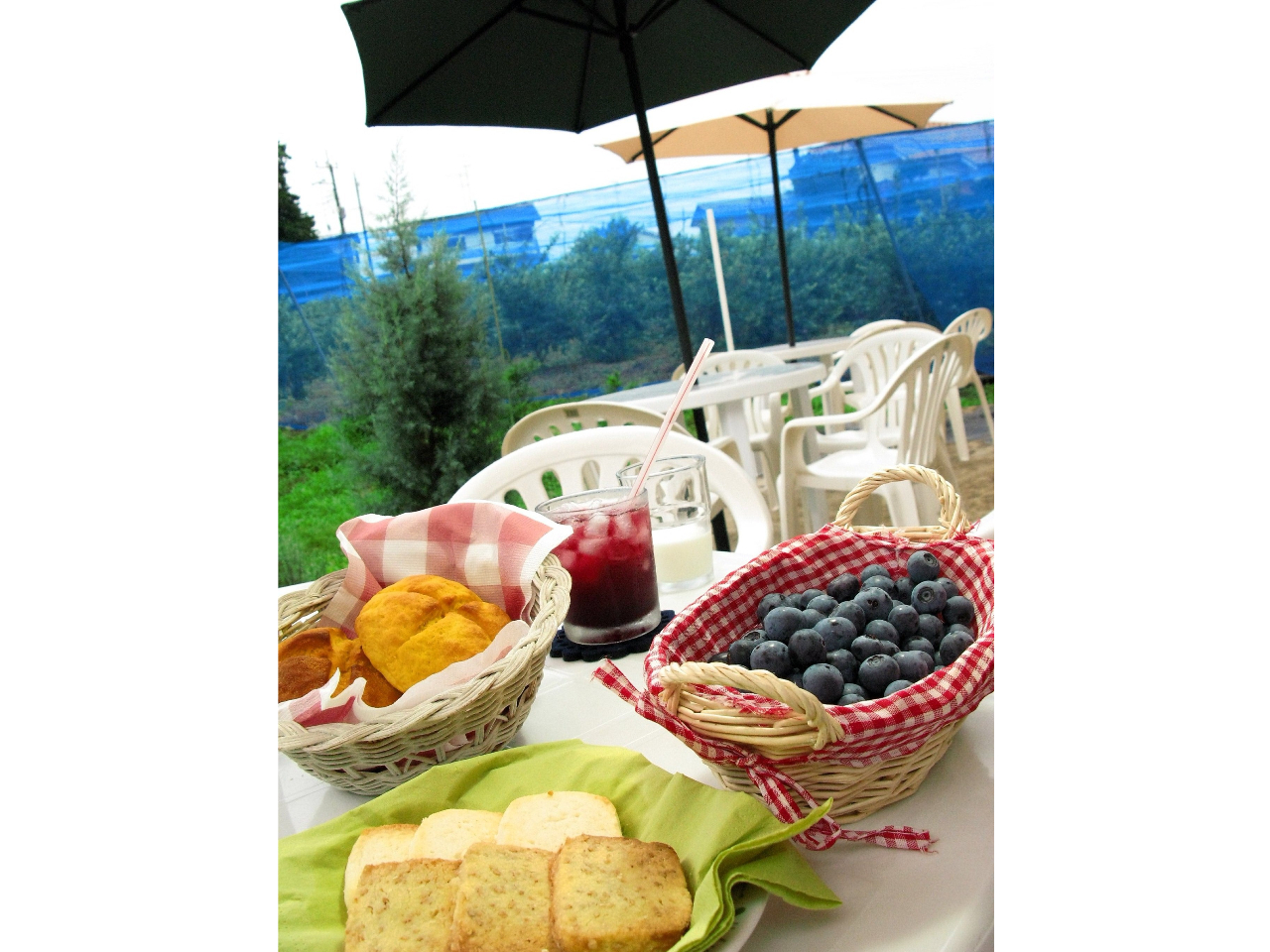 ݂[JtF{]ł́AlCu[x[X[W[W[X𐥔񂨏オ肭B