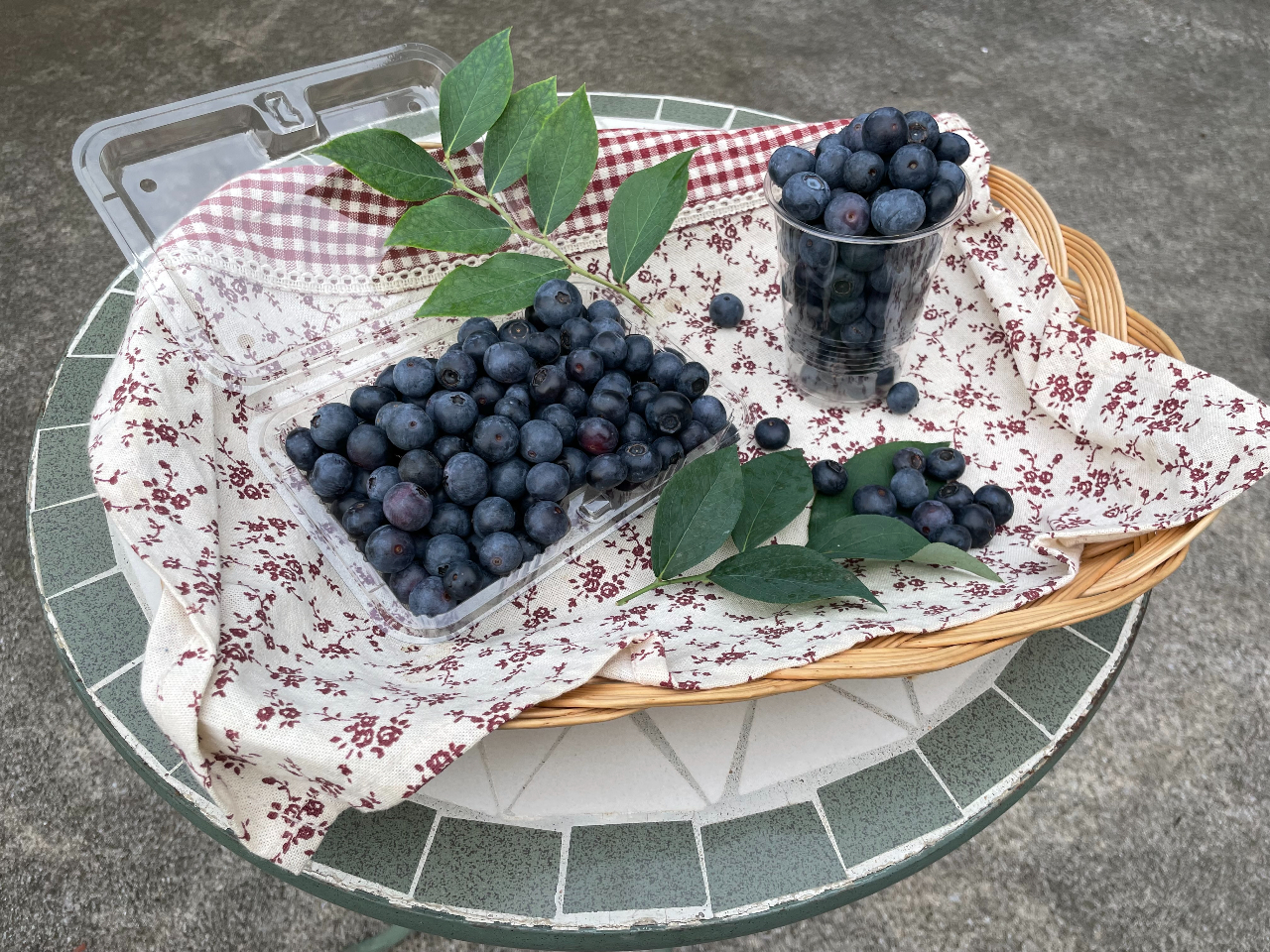 AʂN啝ɃXP[AbvIl͑pbÑt^܂閘(ROOg)E߂܂Bqǂ̓RbvɎR(200)B݂₰ɍœKI