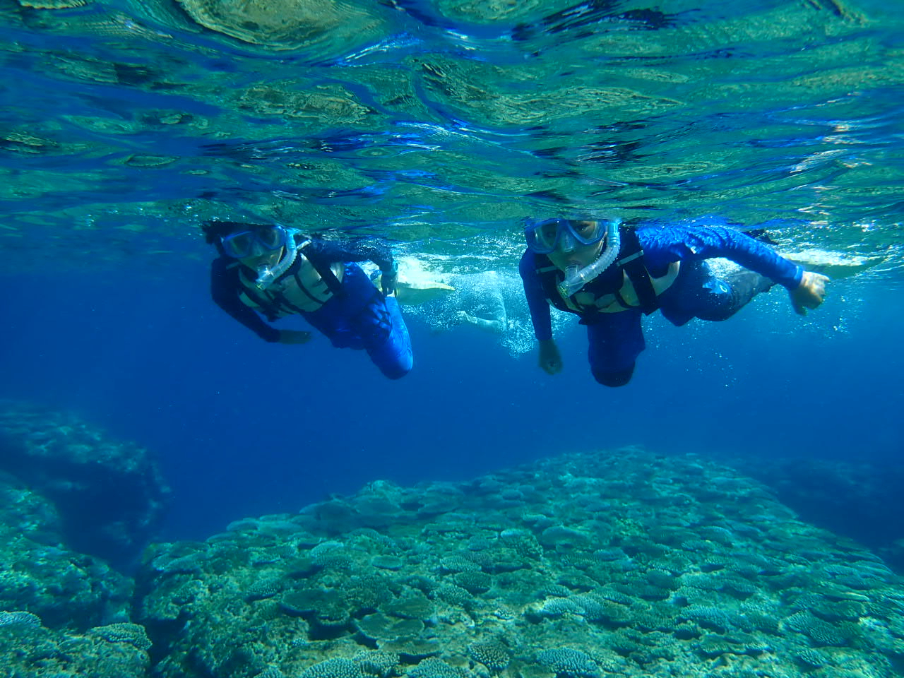 時間を忘れて夢中になれる、海の中の探検。お子さまの好奇心を刺激する、忘れられない冒険がここから始まります。