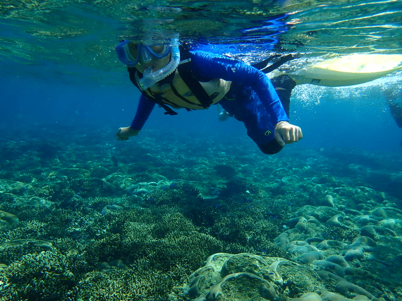 TSʂ̊CƁBCyɊy߂Vm[PǑI