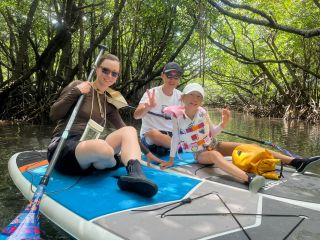 緑に囲まれたマングローブ水路をゆったりクルージング。非日常の癒し空間へ。