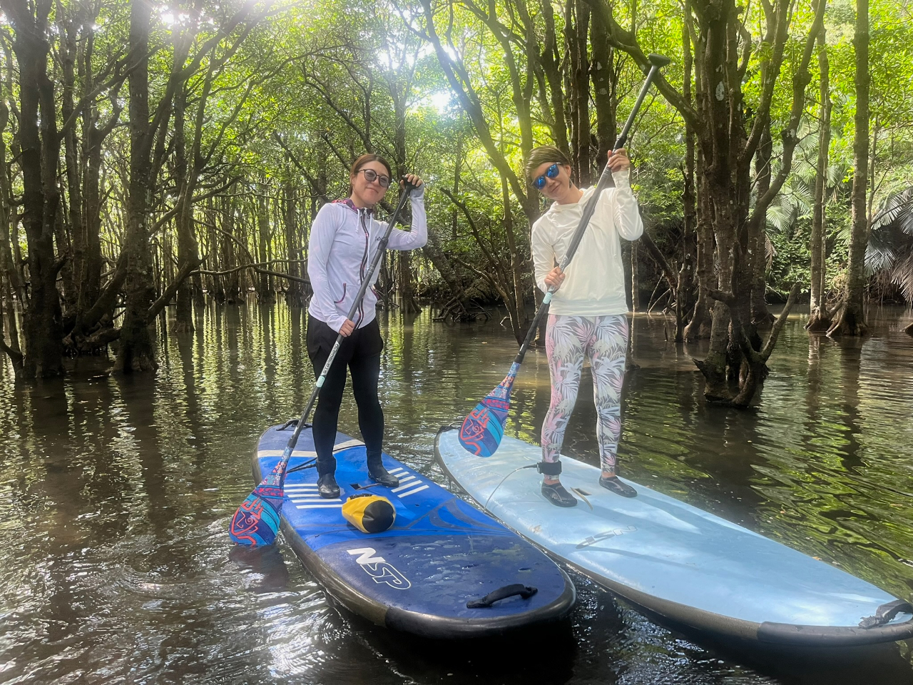 WÔ悤ȕi̒ASUPŐÂɒTBS҂S̉₩ȐʁB