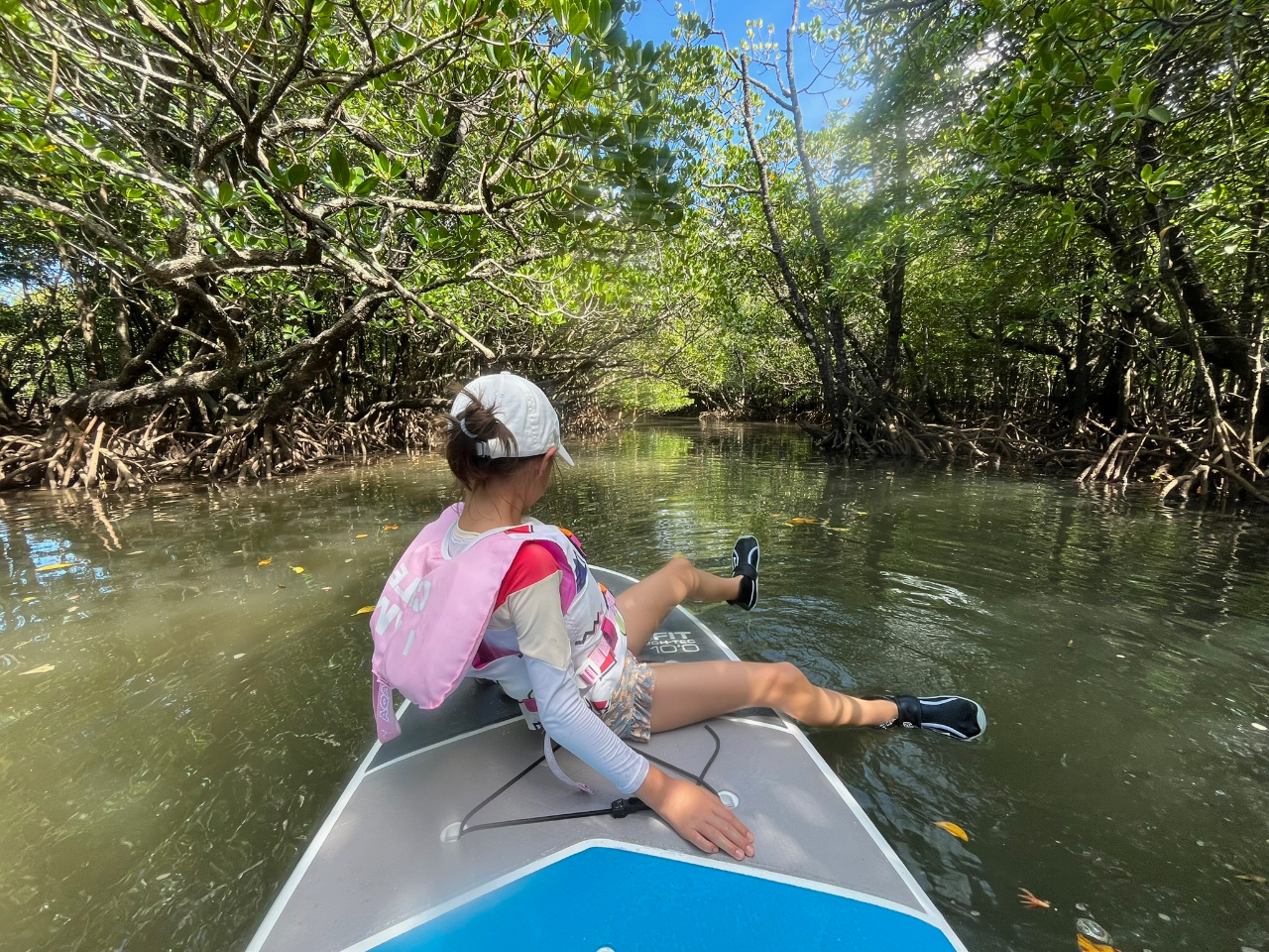 ؘR̒ASUPɏĐiޓʂȎԁBSقǂĂoЁB