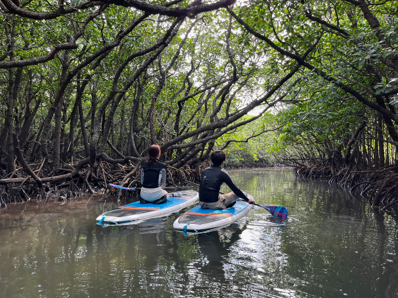 Xɗnނ悤ґȎŘBSUP̏ォiFy߂܂