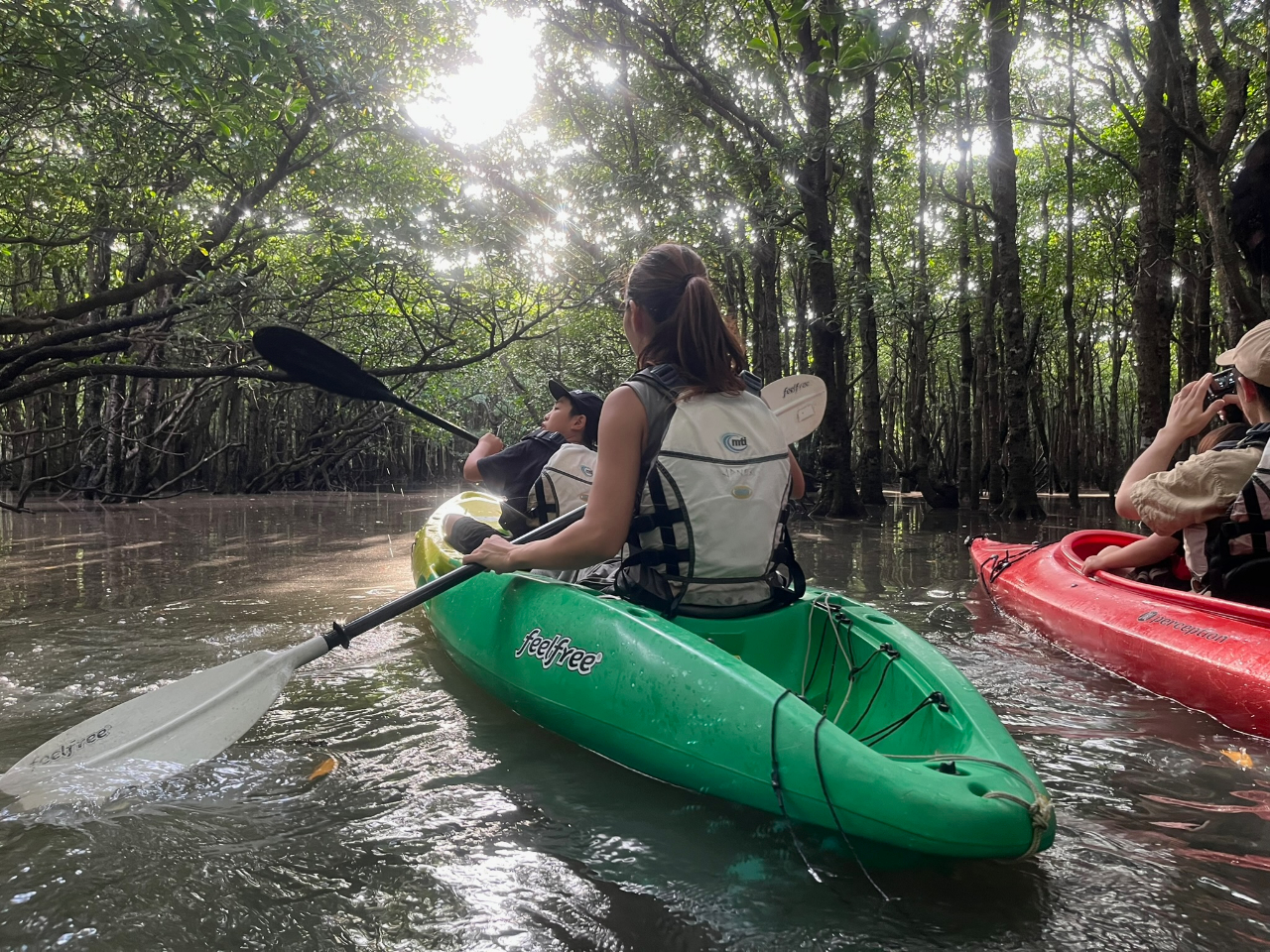 まるで物語の世界!幻想的なマングローブ林をカヤックで探検。