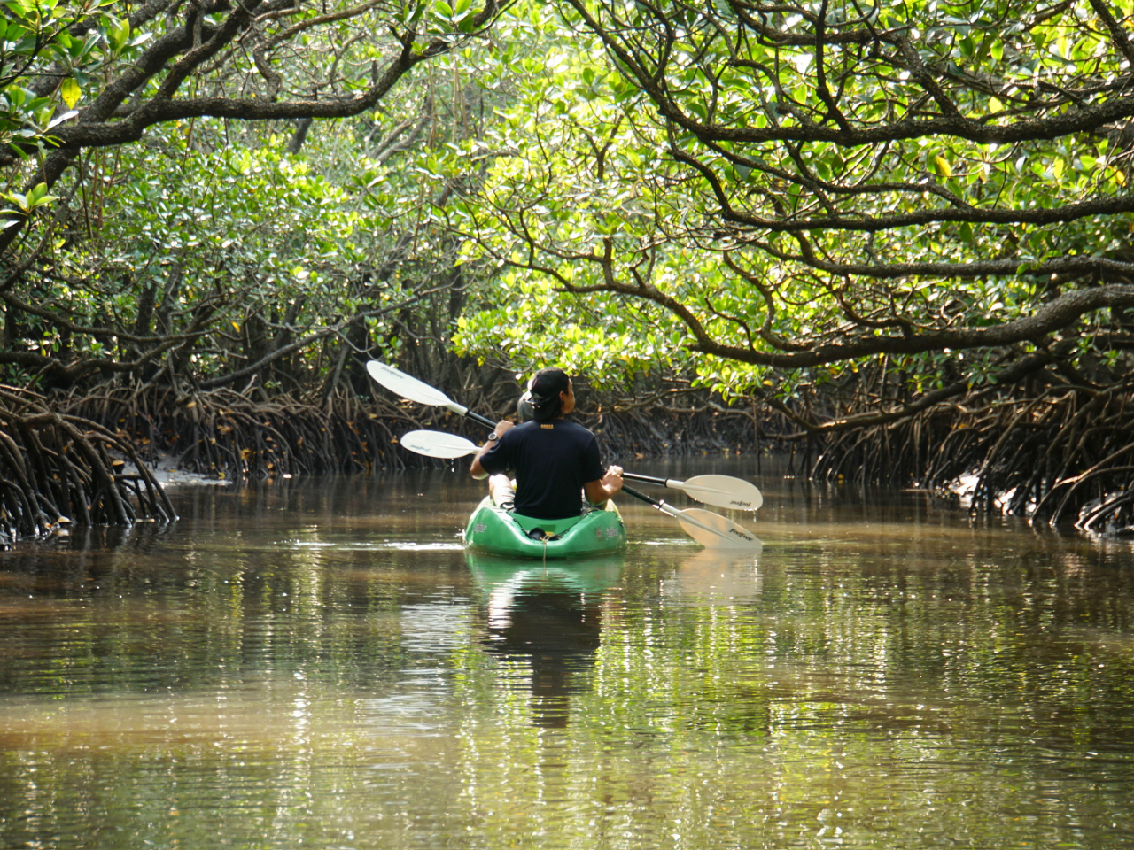 川面から見上げる緑のトンネル。非日常に包まれる癒しのひととき。