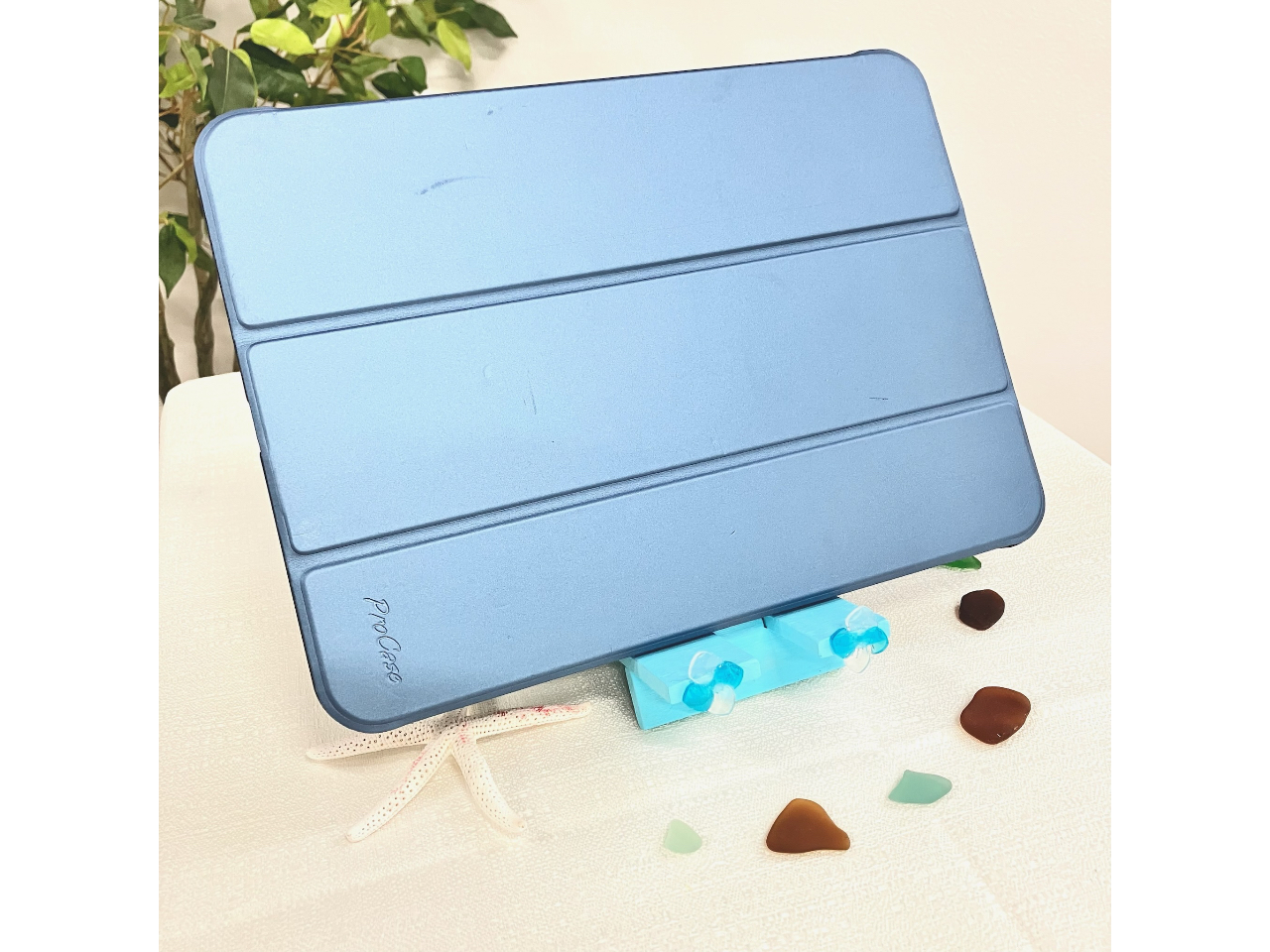 }`X^hɃ^ubgulqBĂ͎B