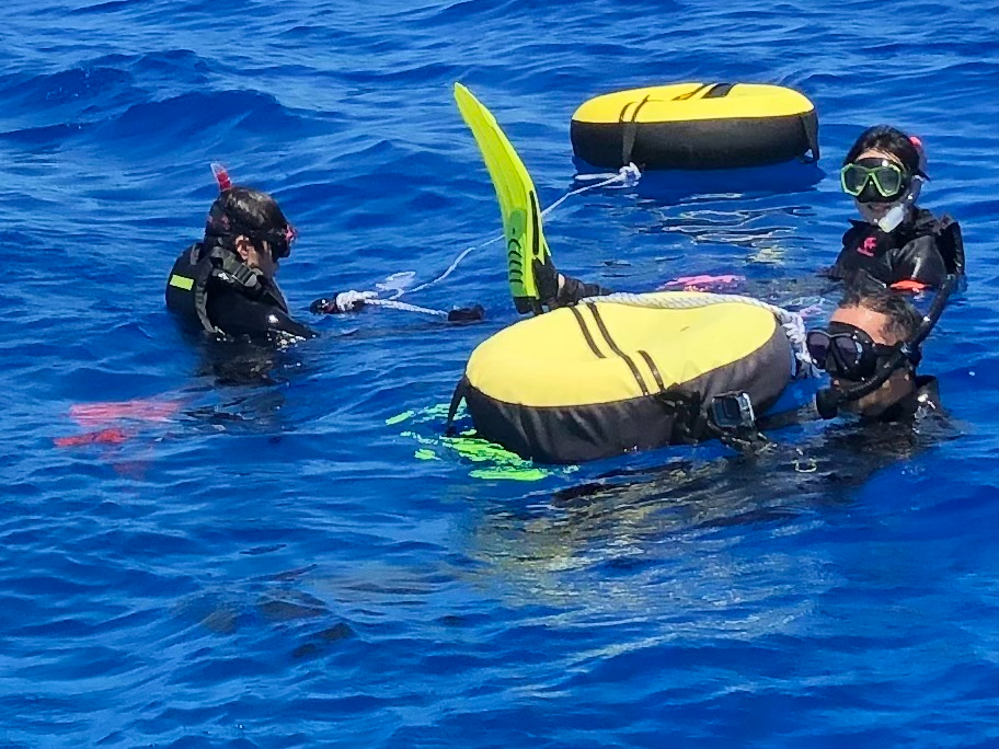 g̔Cg`[^[{[gŃXm[PǑ悤