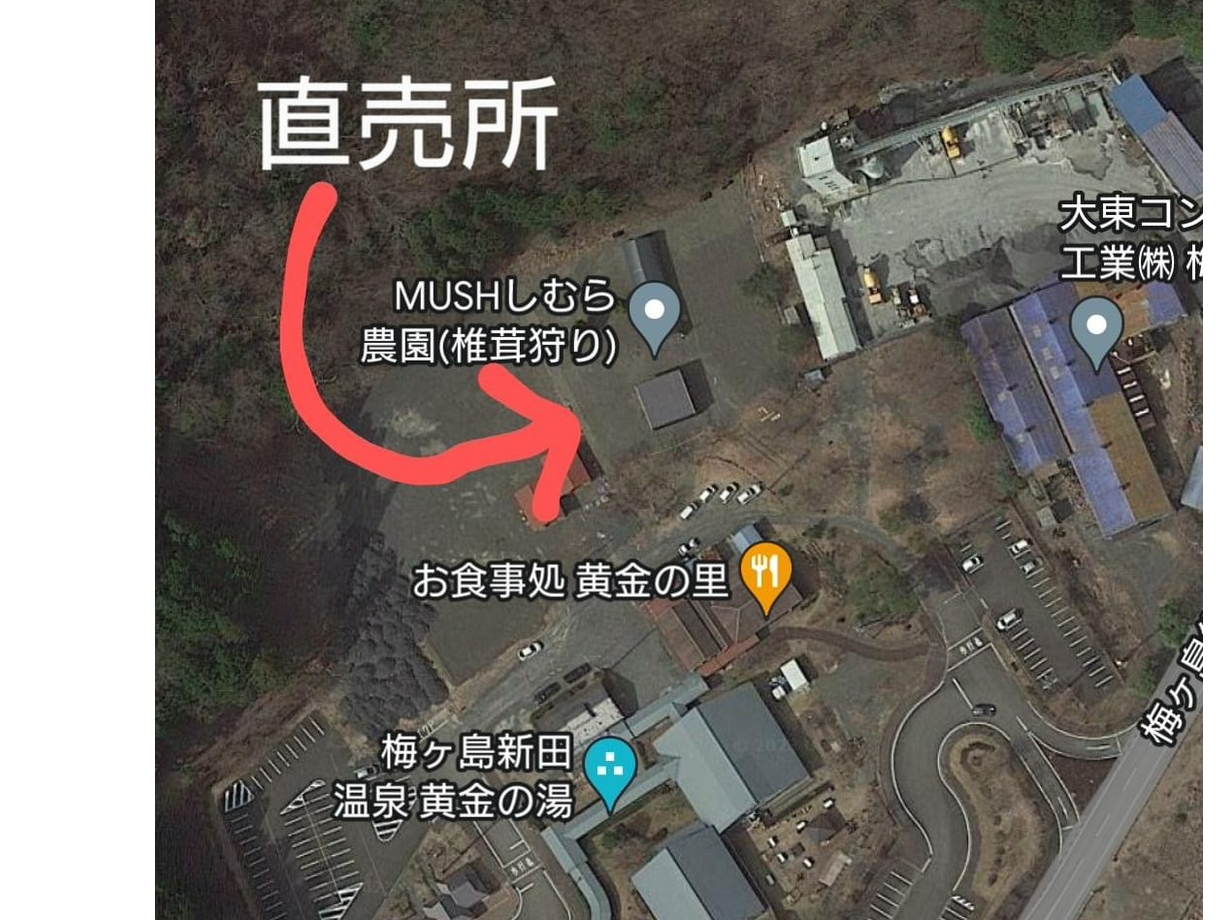 梅ヶ島新田温泉黄金の湯の敷地内にございます♪