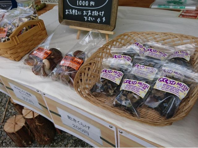 様々なキノコを栽培しています。ぜひお土産にどうぞ!