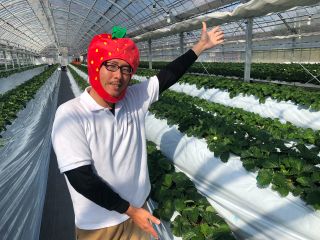 大阪茨木市の小川農園です!いちご狩りは2年目になりました!