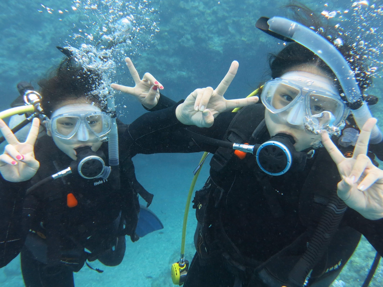 【体験ダイビング】《約2~3時間コース》山形県で唯一沖縄に匹敵するほどの透明度抜...