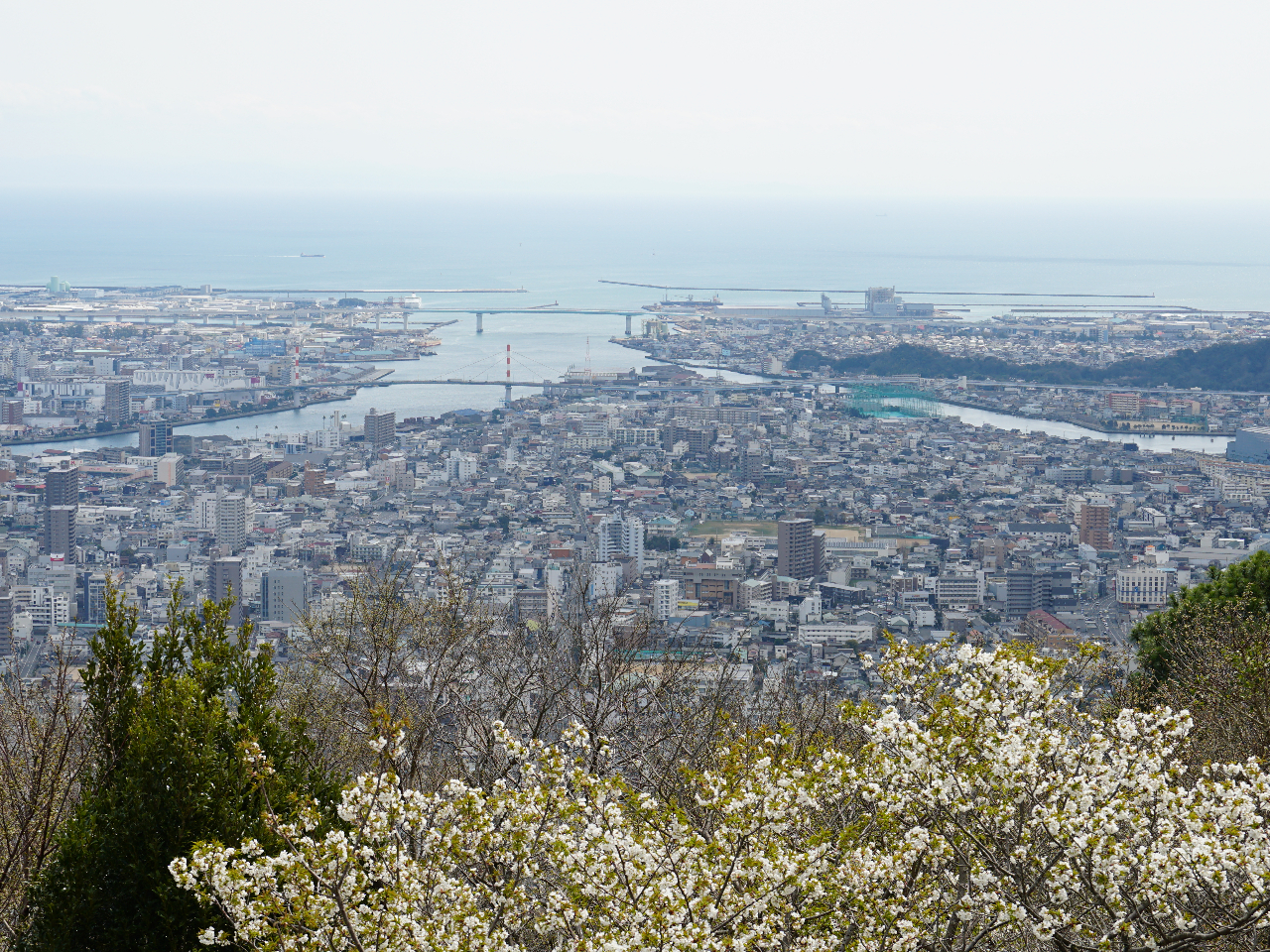 空の境界　眉山ロープウェイ往復乗車券購入特典ミニ色紙　マチアソビ 空の境界 眉山ロープウェイ往復乗車券購入特典ミニ色紙