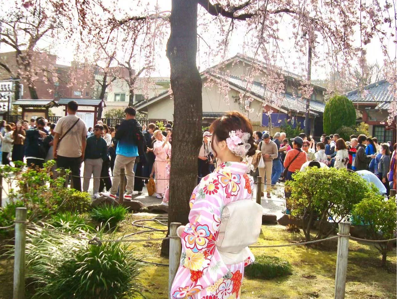 �N���V�J���Ȗ��É��тŏ�i�����R�[�f�B�l�C�g�����y���݂��������I