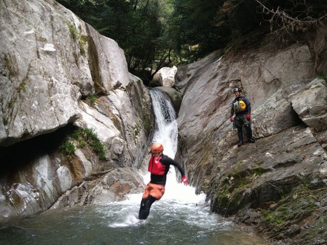 たまに飛び込んだり