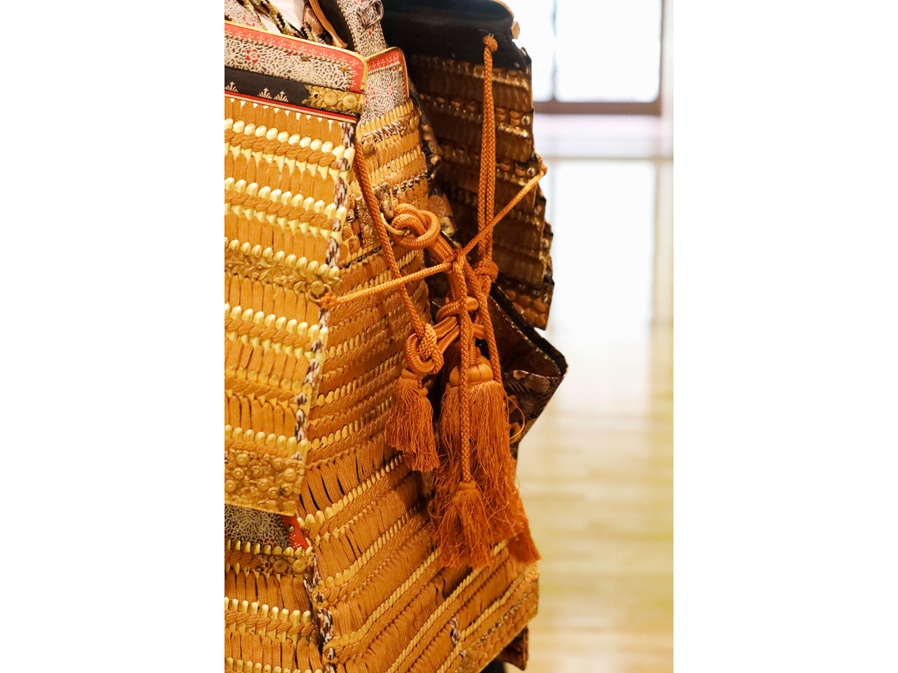 Z̔wʂɂЂƂڂ̂Aupi܂jvƌĂ΂傫ȏ[B ̗DȎpɂ́Ae̕RAkɌтĂ܂B 