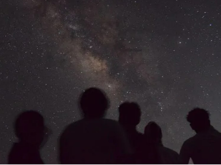 世界自然遺産の漆黒の森から見上げる星空は格別です☆他にない特別な体験を☆