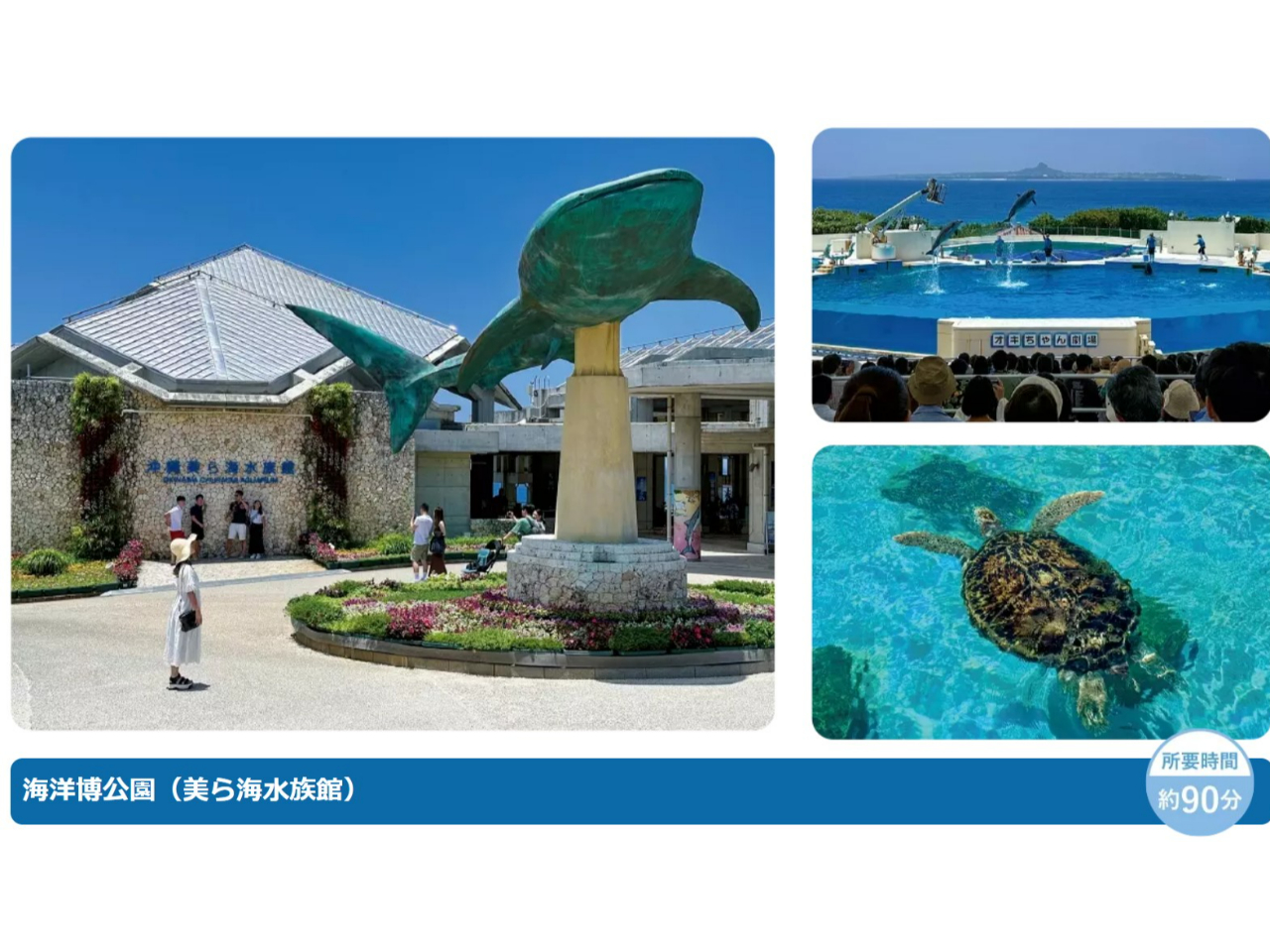 �����̃I�L����񌀏�i�C���J�V���[�j��E�~�K���قȂǁA�����Ŋy���߂�G���A�������ς��I �ʗ����Ŕ���C�����ق����y���݂��������܂��B