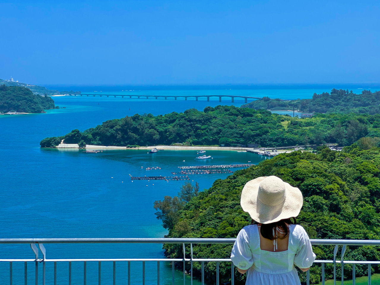 ���J���J�����~����̌i�F�B�������Ɍ�����ÉF���勴�ɂ��ꂩ��������܂��I