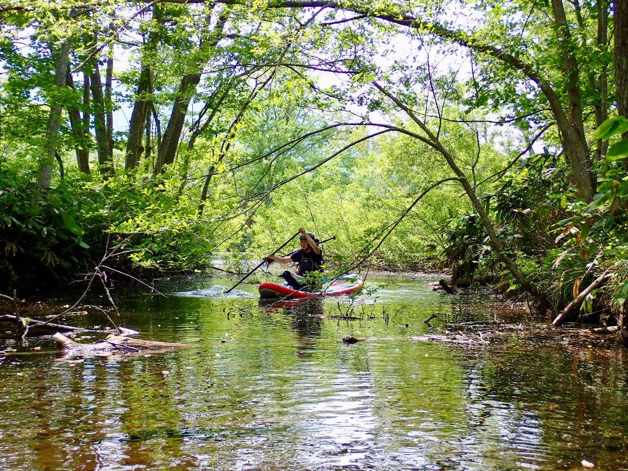 �؉A��������