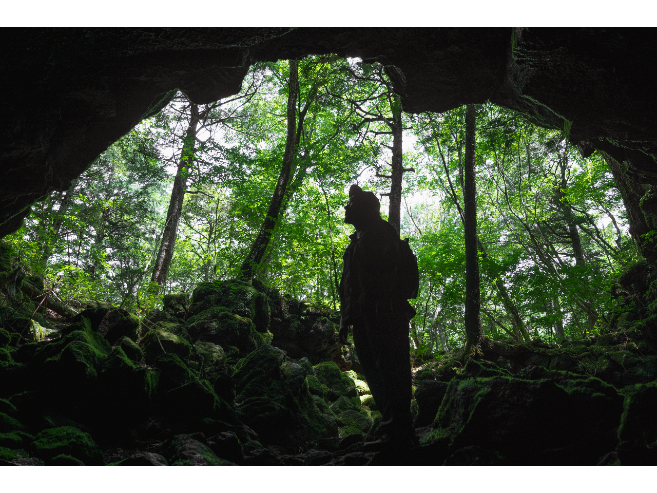 神秘の森の洞窟