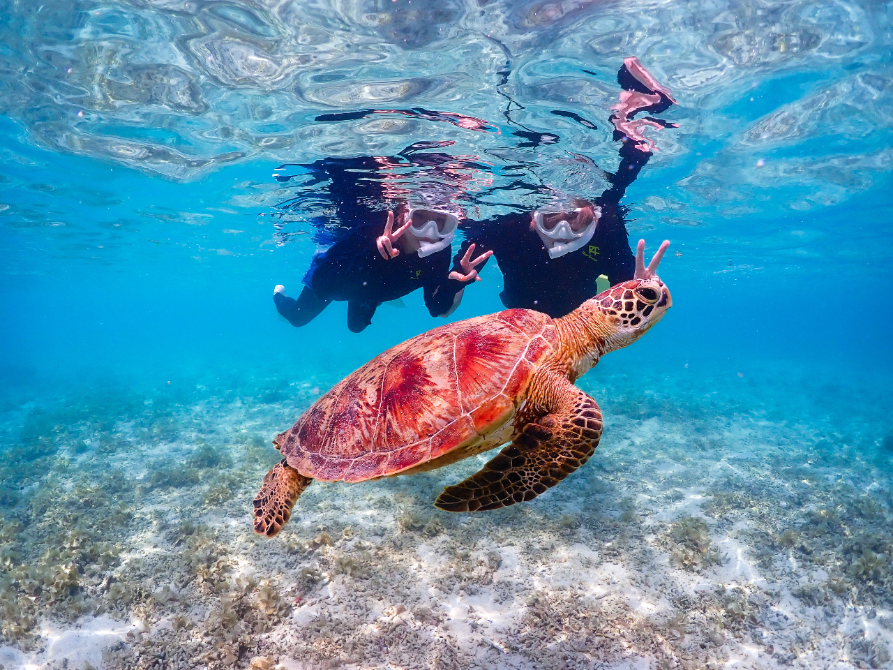 iCXs[X!!!ō̏uԂ𓦂B肢܂!!!