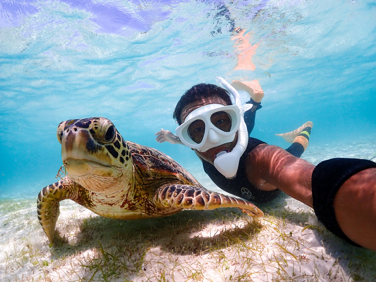 ƂĂ邭ėDKChcA[S܂!!!ꏏɎvo܂傤!!!