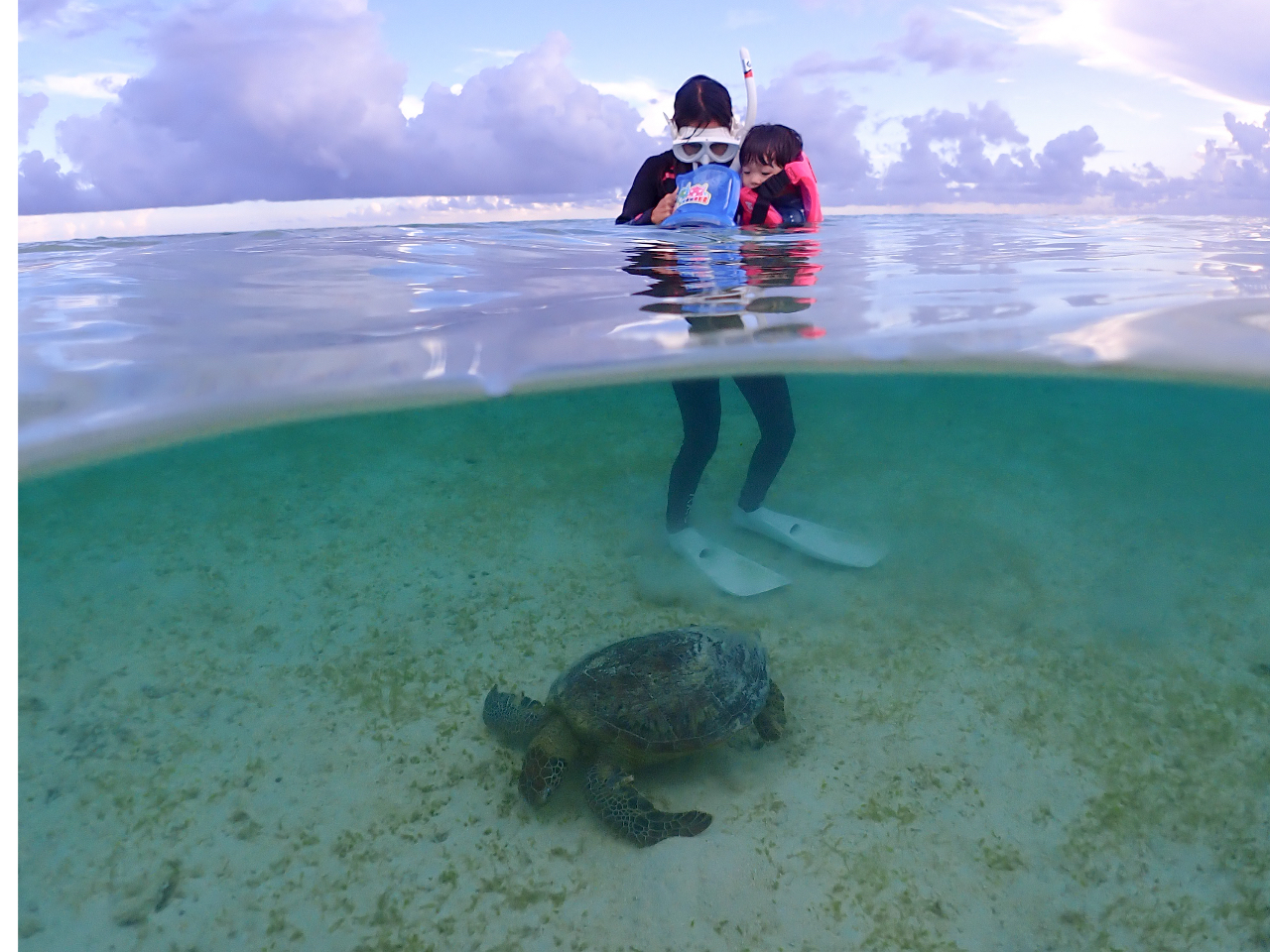 5Έȉ̂q񂪃cA[Q́AqlT|[gƂăX^btĂ܂Ie䂳S͂ŗVłI