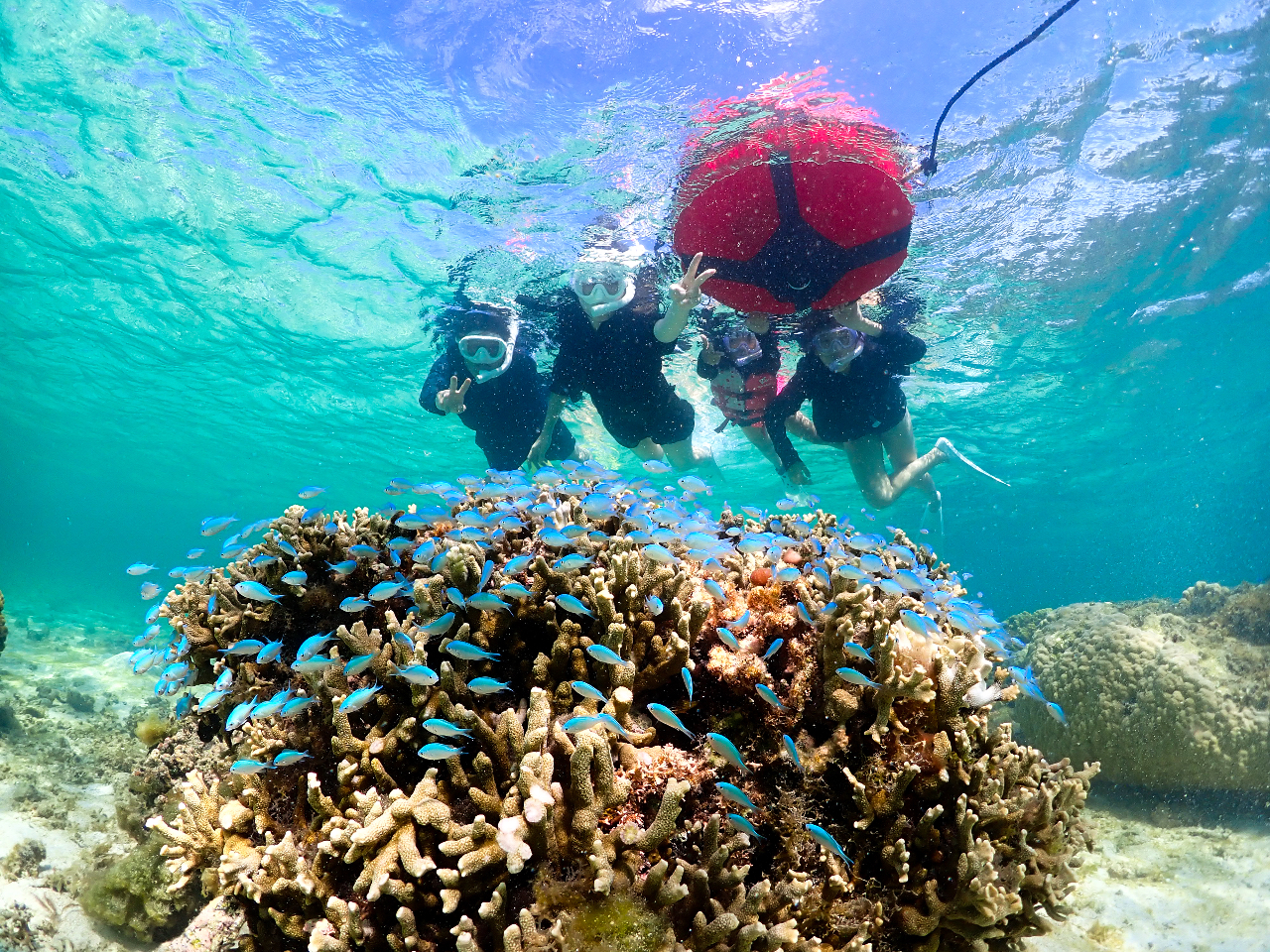 Cɓ΂͓VR̐!!!̑Q邱Ƃł܂