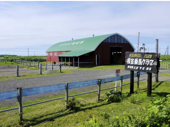 【乗馬経験者歓迎♪】日本最東端の地で乗馬レッスン《平日プラン》