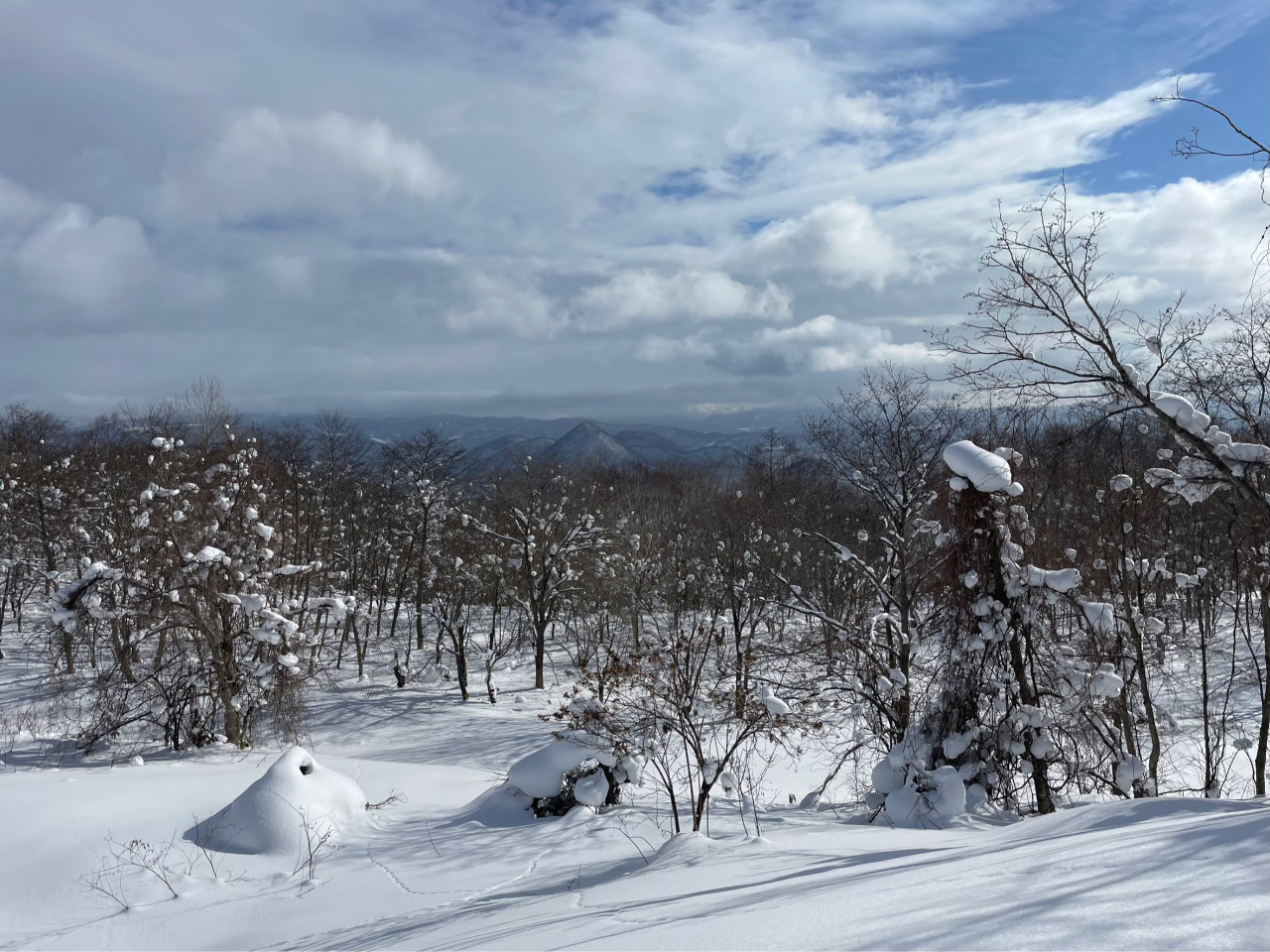 洞爺湖を一望!ふわふわ雪のスノーシュー