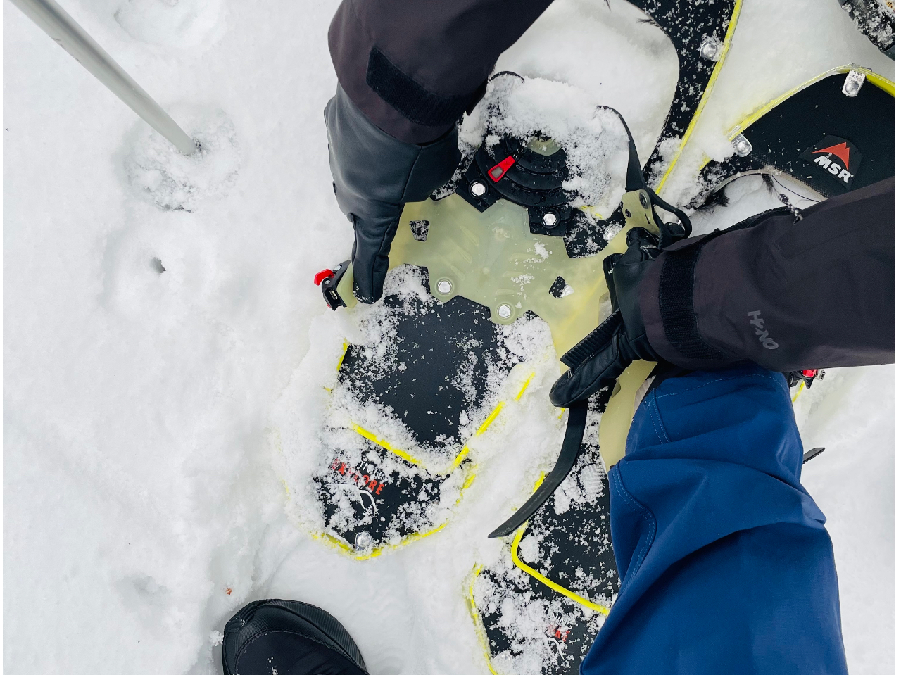 ߂Ă̕łSBȒPȃXm[V[BA`܂B