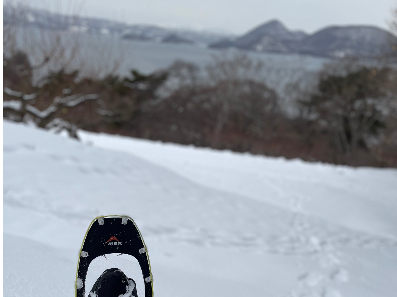 夏とは違う景色をお楽しみいただけます。