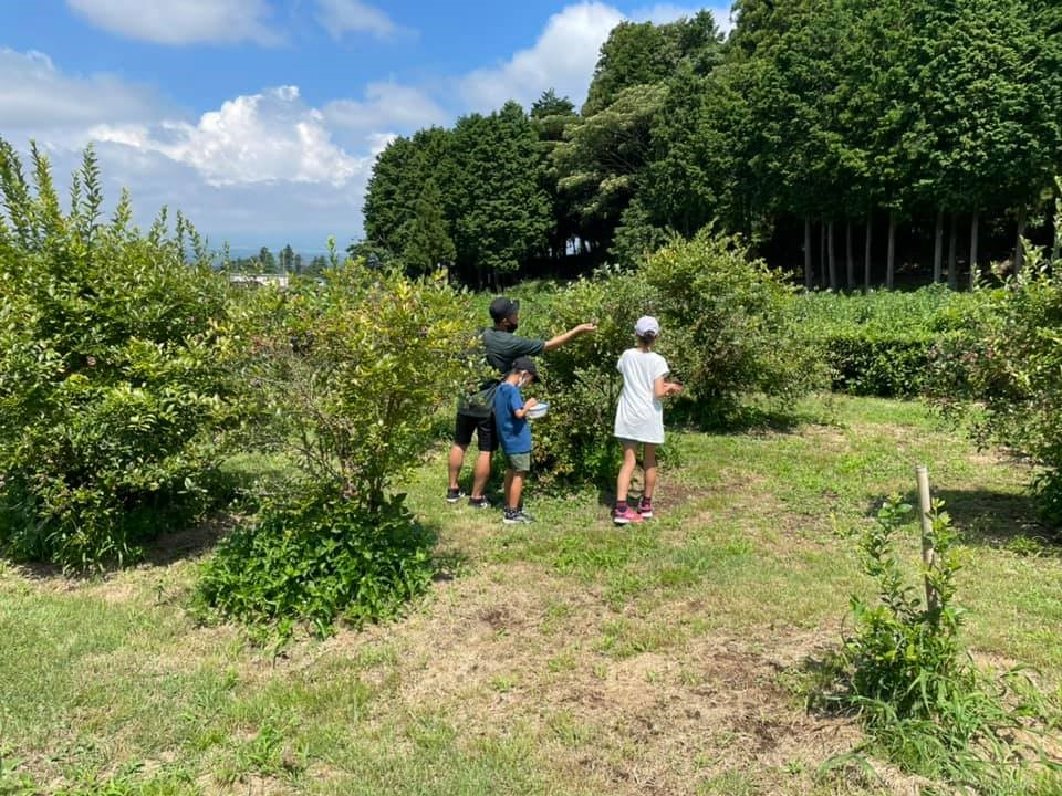 ���Ԗ������ł��B���Ƒ��ł������A�̂�т肨�y���݂��������B