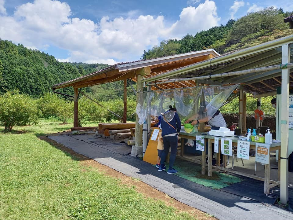 ��t�ׂ̗ɂ́A�������x�߂�x�e�X�y�[�X������܂��B