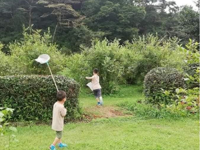 �Ƃ�ڂ�o�b�^�A�q�������͒����ɂ������ɂȂ�܂��B