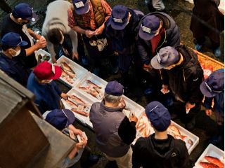 開市の時は毎日行われるセリ。赤い帽子が売り子、青い帽子が買受人。