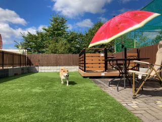 柵付きドッグランサイトで愛犬と一緒にBBQはいかがですか?