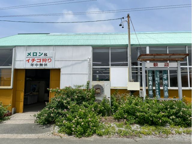 年中営業しています。季節の果物狩り~販売も行っています。ぜひお越しください♪